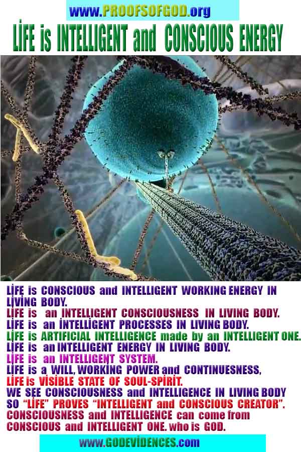 proofs of god, evidences of god, signs of god, god-proofs, proofs-god