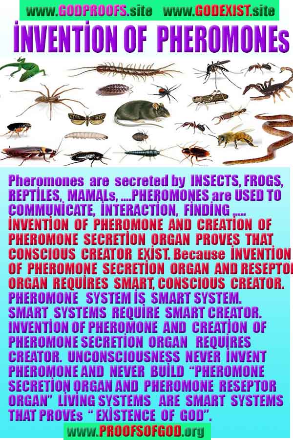 proofs of god, evidences of god, signs of god, god-proofs, proofs-god